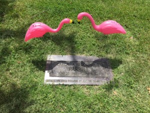 Pink Flamingos